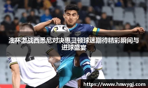 华体会